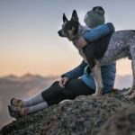 A guide to obtaining and caring for an emotional support animal
