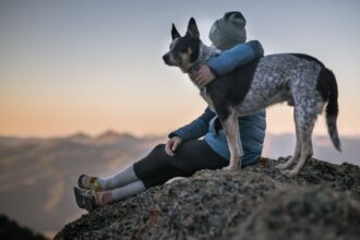 A guide to obtaining and caring for an emotional support animal