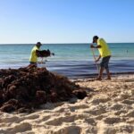 Popular beach in the Dominican Republic faces Sargassum invasion and trash problem