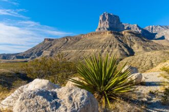 7 Most Underrated Places to Visit in Texas in 2024