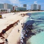 Cancun hosts a summit to explore Sargassum’s economic opportunities