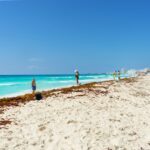 Mexican hotel association refuses to continue paying for Sargassum cleaning