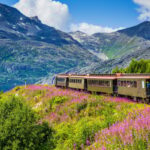 Take a ride on the wild side: these 4 Alaska trains explore beautiful landscapes this summer