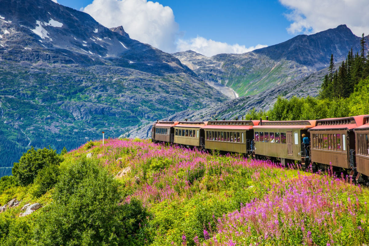 Take a ride on the wild side: these 4 Alaska trains explore beautiful landscapes this summer