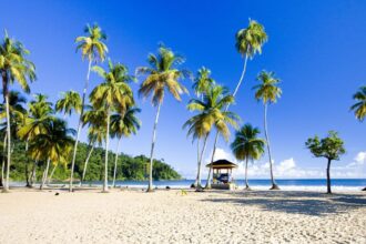 US reissues travel advisory for this Caribbean country due to a crime