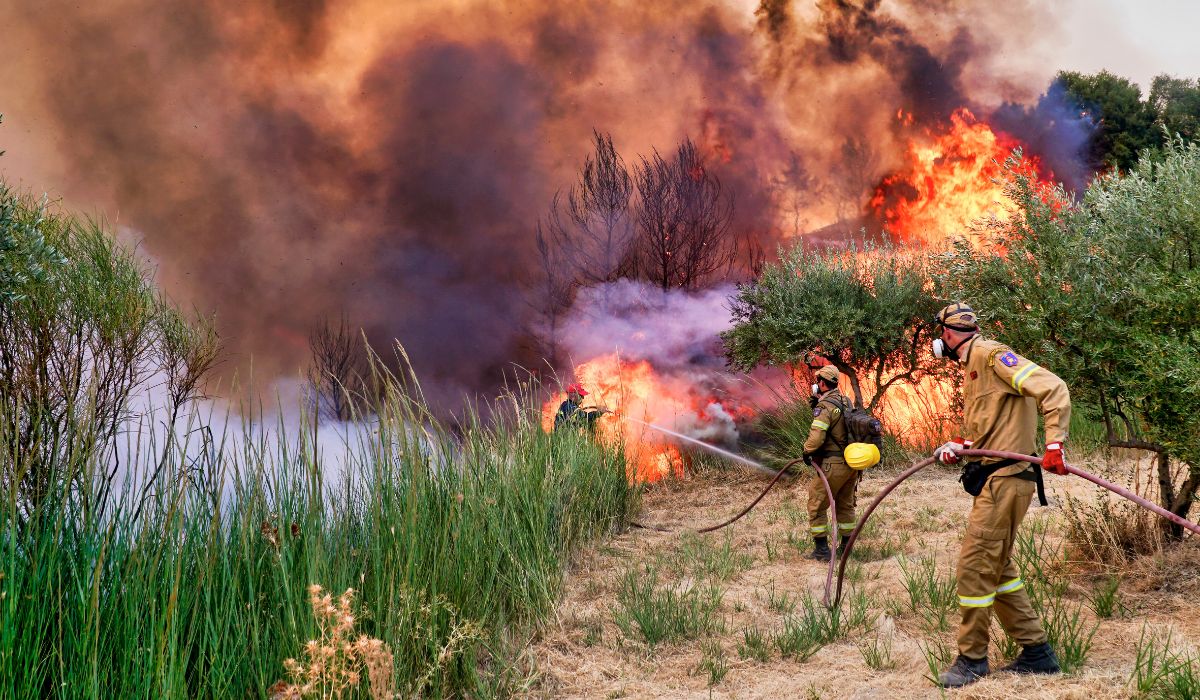 Wildfires are devastating Europe and causing travel headaches for tourists in four countries