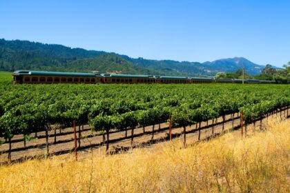 Wine and dine through Napa Valley on this classic, century-old passenger train