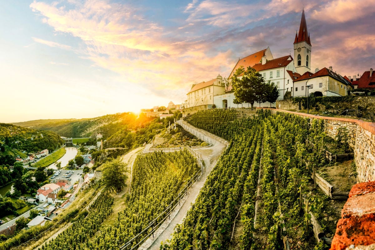 Move over Prague!  Cheap wine and dinner in the ‘Tuscany’ of the Czech Republic