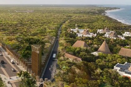 Tulum opens a new natural park that combines jungle, archeology and beautiful beaches