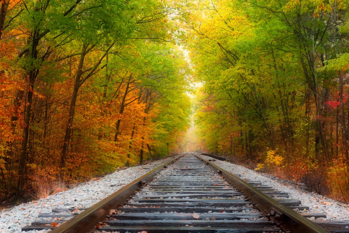 This international train ride zooms through the autumn splendor of the east coast to Canada’s most cultural city