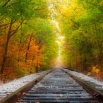 This international train ride zooms through the autumn splendor of the east coast to Canada’s most cultural city