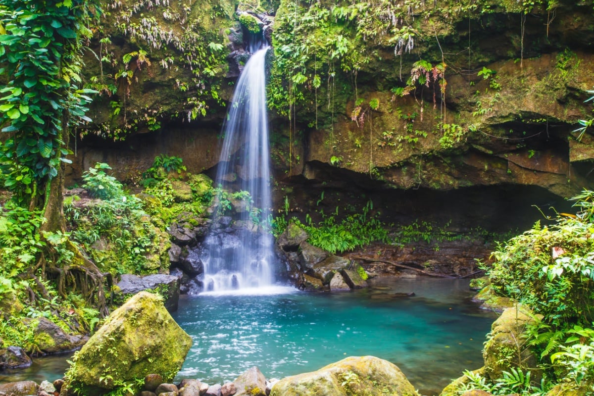 Beautiful beaches and waterfalls! New flights make this Caribbean paradise easier to visit this winter