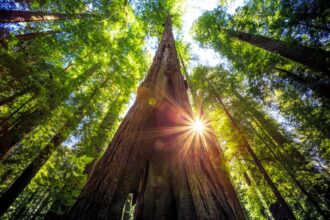 Forget Yosemite! Travelers fall in love with this little-known California State Park