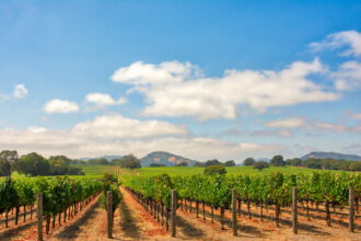 Beautiful coastline and renowned vineyards! This American destination has been named one of the best trips for 2025