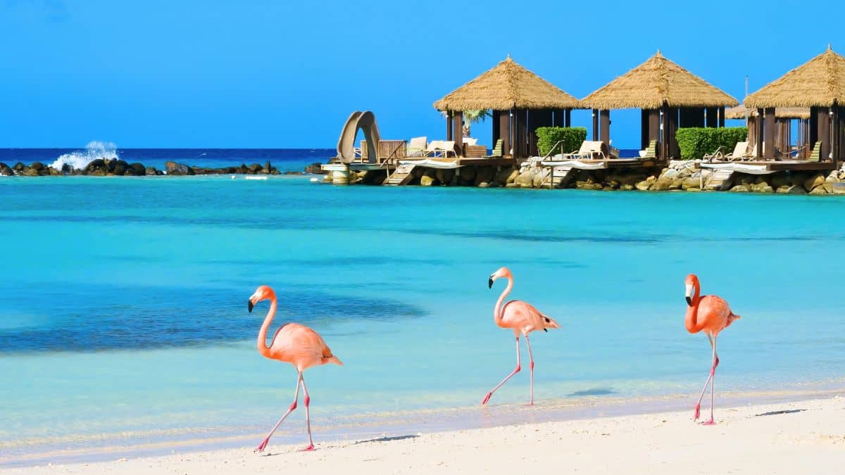 Is Aruba safe to visit? Travel advice 2025