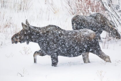 10 Best National Parks to Visit in January + 1 to Skip » Local Adventurer