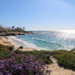 4 Exciting things that travelers should know that he should visit San Diego in 2025