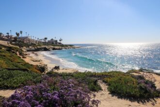 4 Exciting things that travelers should know that he should visit San Diego in 2025