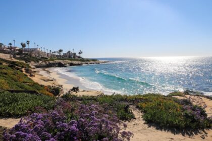 4 Exciting things that travelers should know that he should visit San Diego in 2025