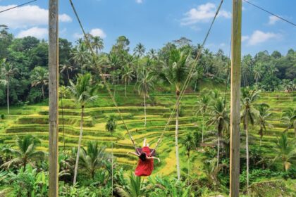 Bali (Indonesia) guide input requirements guide for Americans