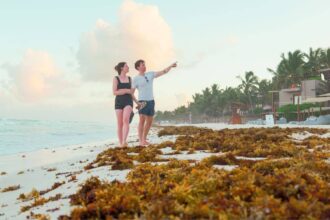 Despite enormous arrivals from Sargassum, almost 1.3 million tourists in the Mexican Caribbean expected Easter