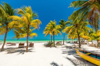 Cancun is preparing for the heavy Sargassum season: here are 3 Mexican Caribbean alternatives