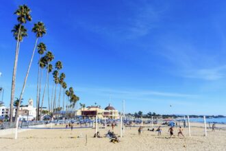 Go over Los Angeles! This nice beach city has exciting journeys, epic waves and mountains covered with Redwood