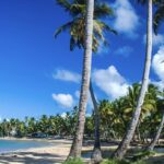 Go over Playa del Carmen! This Caribbean destination is less busy and cheaper
