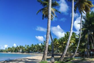 Go over Playa del Carmen! This Caribbean destination is less busy and cheaper