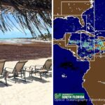 Satellite images reveal in May on Record Sargassum -Inflow in Florida and Cancun