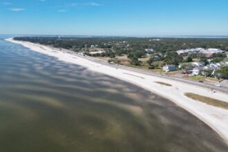 These are 2 of the fastest growing beach cities in the south this summer