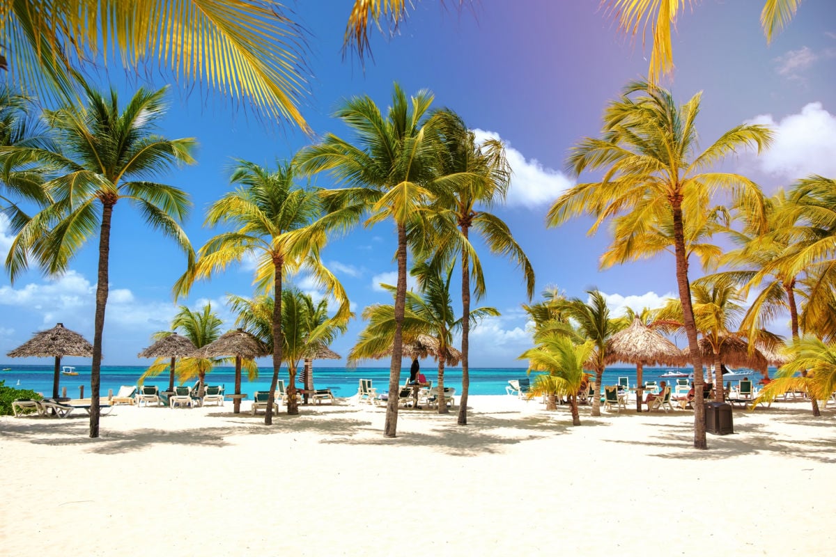 Fly cheap! This American budget airline launches the first flight to Aruba