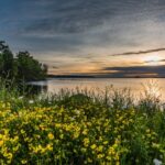 This Lake Town is the largest summer surprise destination in the midwest