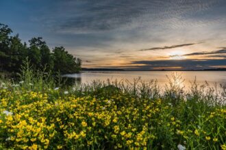 This Lake Town is the largest summer surprise destination in the midwest