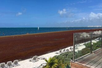 Cancun hotels say “few cancellations” despite seaweed covered beaches