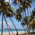 Move over Punta Cana! Unveil the next 3 vacation hotspots of the Dominican Republic