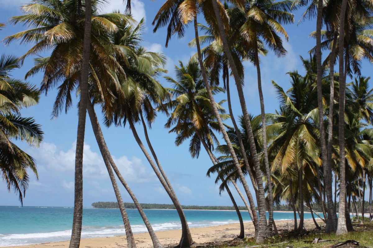 Move over Punta Cana! Unveil the next 3 vacation hotspots of the Dominican Republic