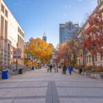 Why travelers come to these 3 lively southern cities in record numbers