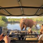 Americans now need an access permit to visit this popular Safari country