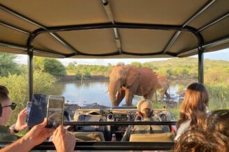 Americans now need an access permit to visit this popular Safari country