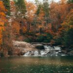 Go over Charleston! Less well -known city called South Carolina’s most beautiful autumn feature