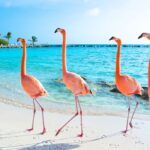 6 Best Islands in the Caribbean to Visit in November 2025