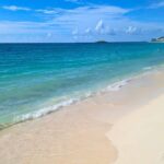 Cancun Enters Final Part of 2025 Sargassum Season – Clearer Waters Ahead