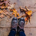 Fall back into balance