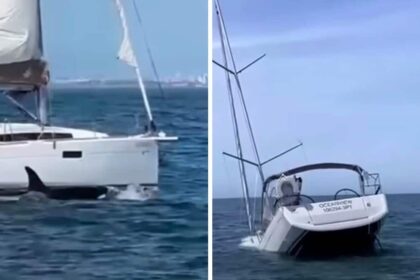 Video shows killer whales sinking off the coast of Lisbon