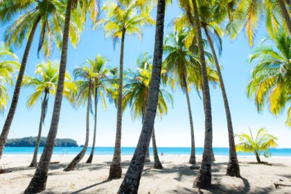 US Embassy in Costa Rica warns of increasing crime against foreigners