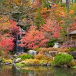 US embassy in Japan issues travel warning to travelers due to deadly bear attacks