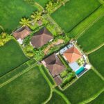 How a possible ban could reshape tourism on the island