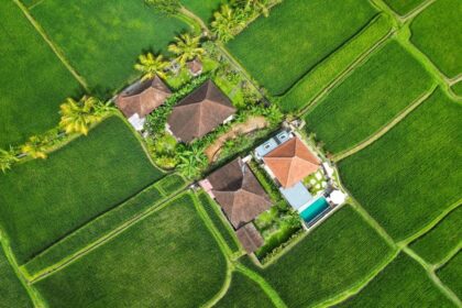 How a possible ban could reshape tourism on the island