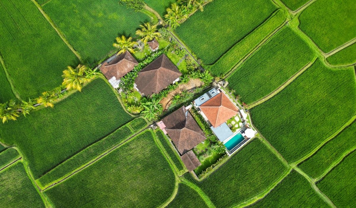 How a possible ban could reshape tourism on the island